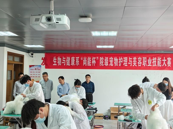 1715429541774379.png 图片3.png